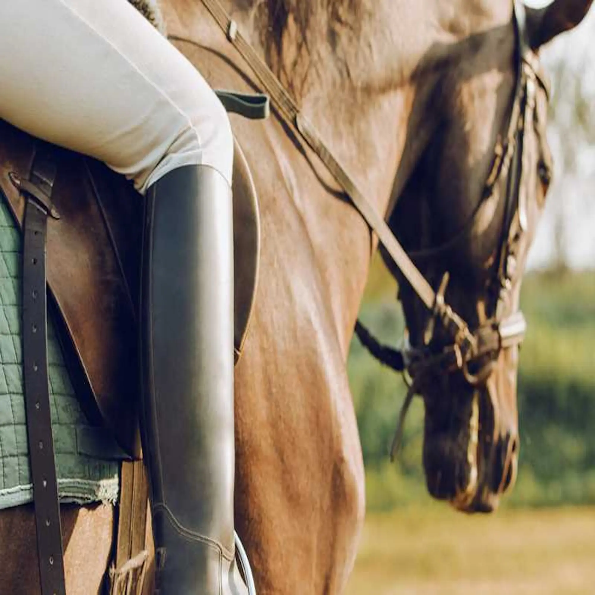 Equestrian bags
